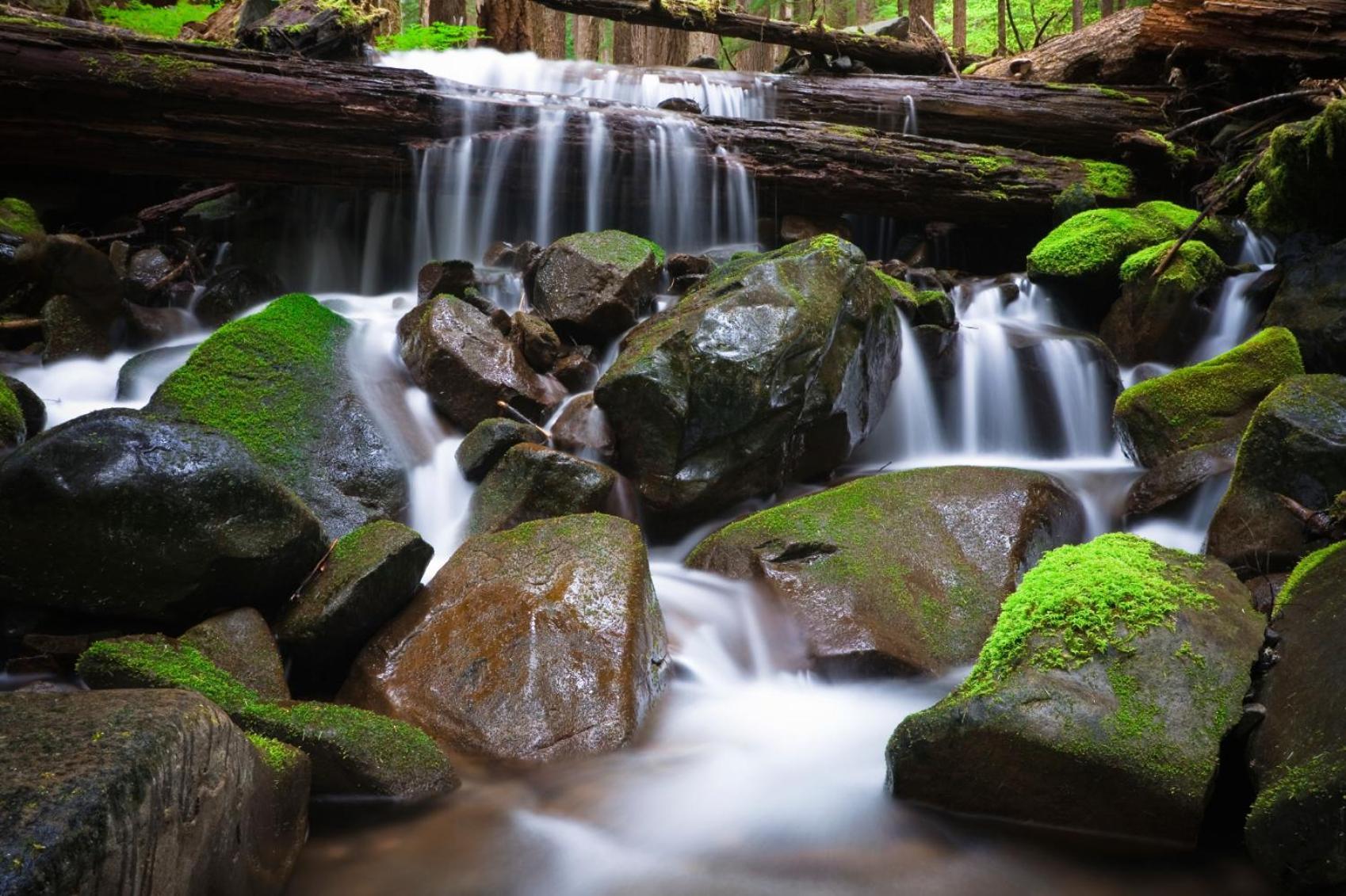 Sol Duc Hot Springs Resort Ovington المظهر الخارجي الصورة